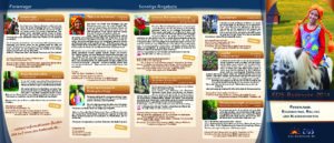 EOS-Bodensee_Prog2014-1-pdf-300×129